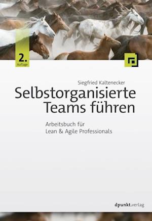 Selbstorganisierte Teams fuhren