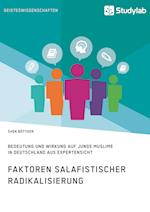 Faktoren salafistischer Radikalisierung. Bedeutung und Wirkung auf junge Muslime in Deutschland aus Expertensicht