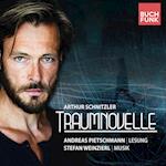 Traumnovelle