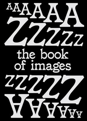 The Book of Images An illustrated dictionary of visual experiences From A to Z