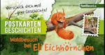 Waldbesuch bei Eli Eichhörnchen