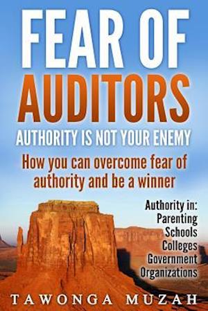 Fear of Auditors