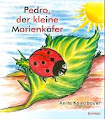 Pedro der kleine Marienkäfer