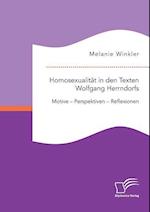 Homosexualität in den Texten Wolfgang Herrndorfs. Motive - Perspektiven - Reflexionen