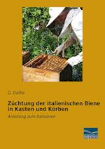 Züchtung der italienischen Biene in Kasten und Körben