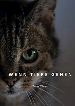 Wenn Tiere gehen