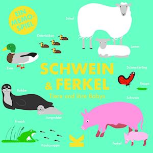 Schwein & Ferkel