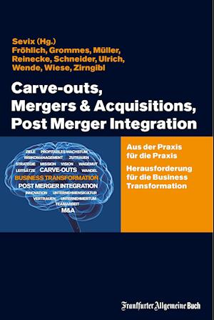 Carve-outs, Mergers & Acquisitions, Post Merger Integration