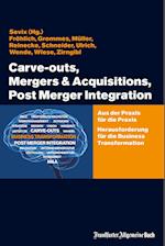 Carve-outs, Mergers & Acquisitions, Post Merger Integration