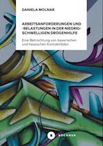 Arbeitsanforderungen und -belastungen in der niedrigschwelligen Drogenhilfe