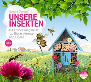 Unsere Insekten