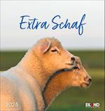 Extra Schaf Postkartenkalender 2025