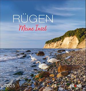 Rügen Postkartenkalender 2025 - Meine Insel