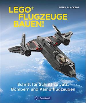 Lego-Flugzeuge bauen!