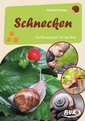 Schnecken