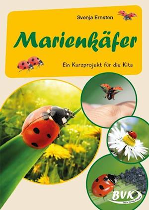 Marienkäfer