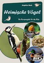 Heimische Vögel -