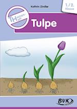 Themenheft Tulpe