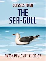 Sea-Gull