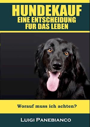 Hundekauf eine Entscheidung für das Leben