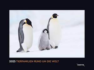 Tierfamilien rund um die Welt - KUNTH Wandkalender 2025