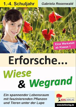 Erforsche ... Wiese & Wegrand