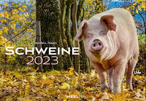 Schweine 2023