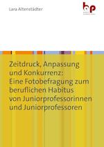 Zeitdruck, Anpassung und Konkurrenz: Eine Fotobefragung zum beruflichen Habitus von Juniorprofessorinnen und Juniorprofessoren