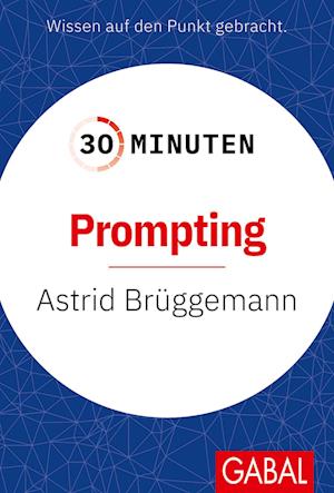 30 Minuten Prompting