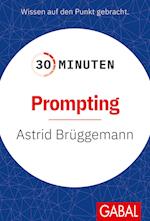 30 Minuten Prompting