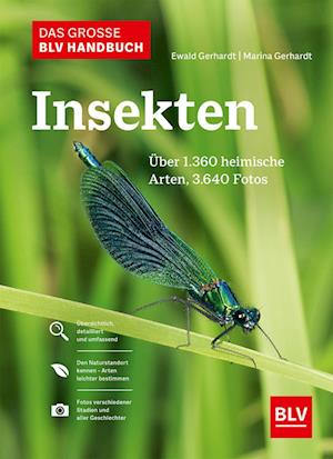 Das große BLV Handbuch Insekten