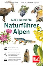Der illustrierte Naturführer Alpen