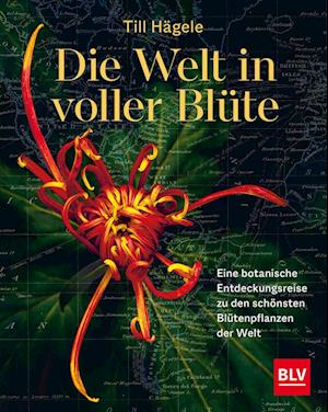 Die Welt in voller Blüte