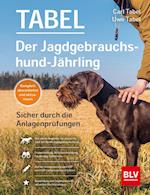 Der Jagdgebrauchshund-Jährling