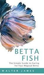 Betta Fish 