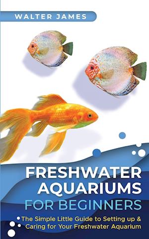 Freshwater Aquariums for Beginners