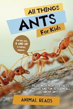 All Things Ants For Kids