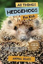 All Things Hedgehogs For Kids