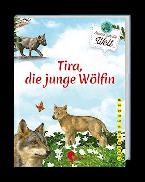 Tira, die junge Wölfin