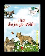 Tira, die junge Wölfin