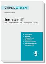 Grundwissen Strafrecht BT