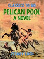 Pelican Pool A Novel