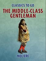 Middle-Class Gentleman