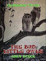 Bad Little Owls