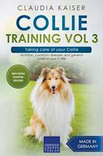Collie Training Vol 3 - Taking care of your Collie: Nutrition, common diseases and general care of your Collie 