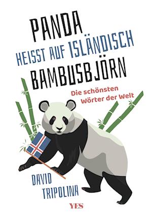 »Panda« heißt auf Isländisch »Bambusbjörn«