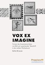 Vox ex imagine