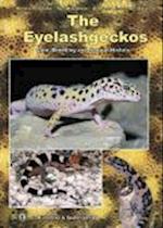 The Eyelash Geckos