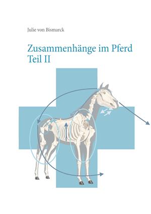 Zusammenhänge im Pferd Teil II