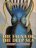 Fauna of the Deep Sea